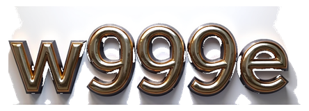 w999e logo